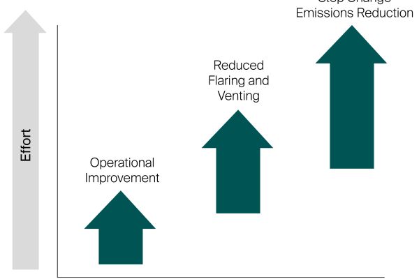 Netzero graphic