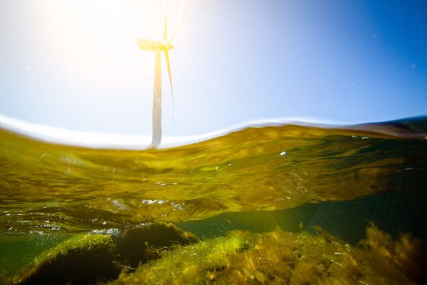 Getty Images 1250240834