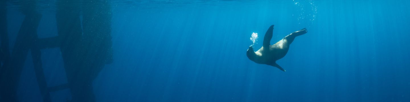 Getty Images 1128142018