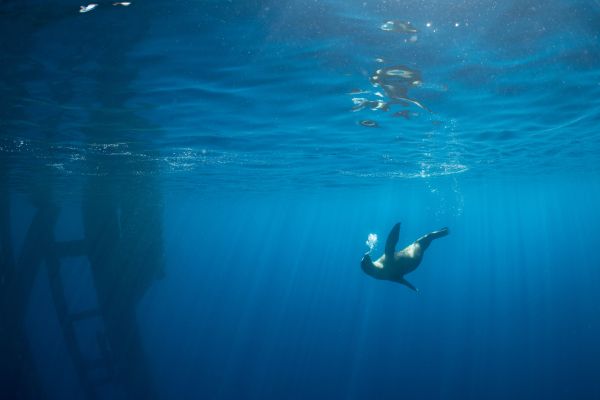 Getty Images 1128142018