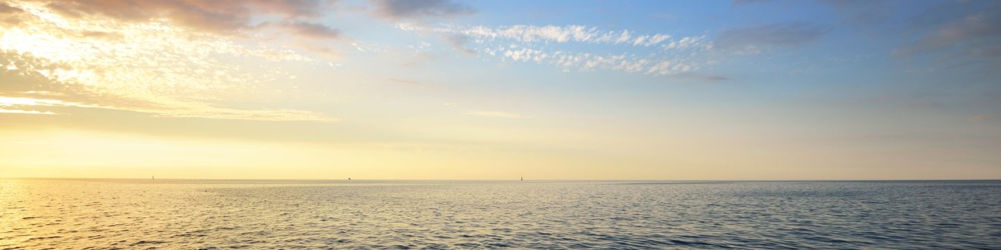 Getty Images 939611022