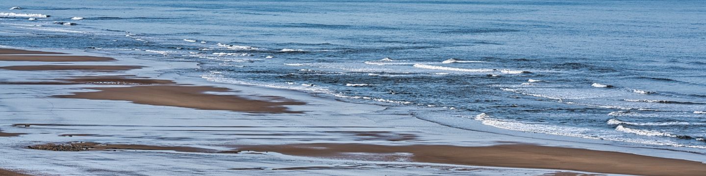 Getty Images 1315621225