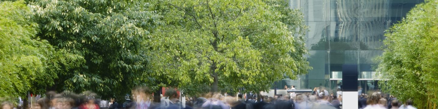 Getty Images 171144449